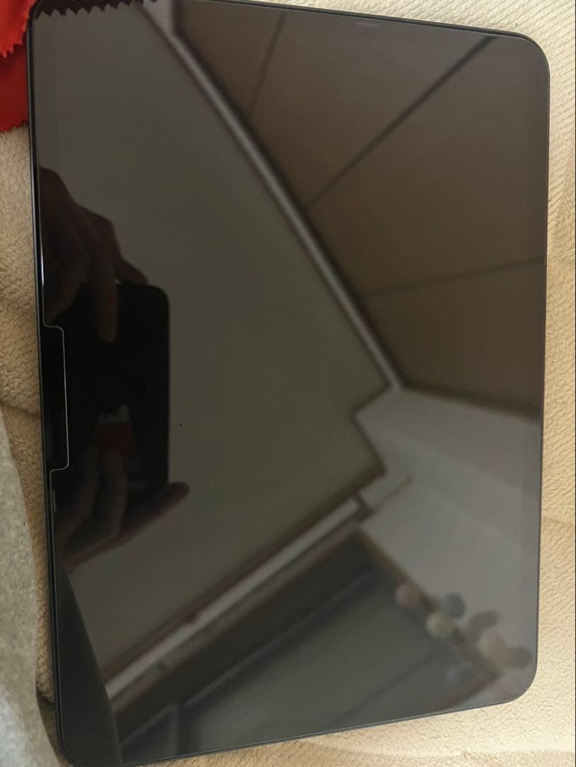 iPad Pro (M4) 第5世代11インチ 256GB