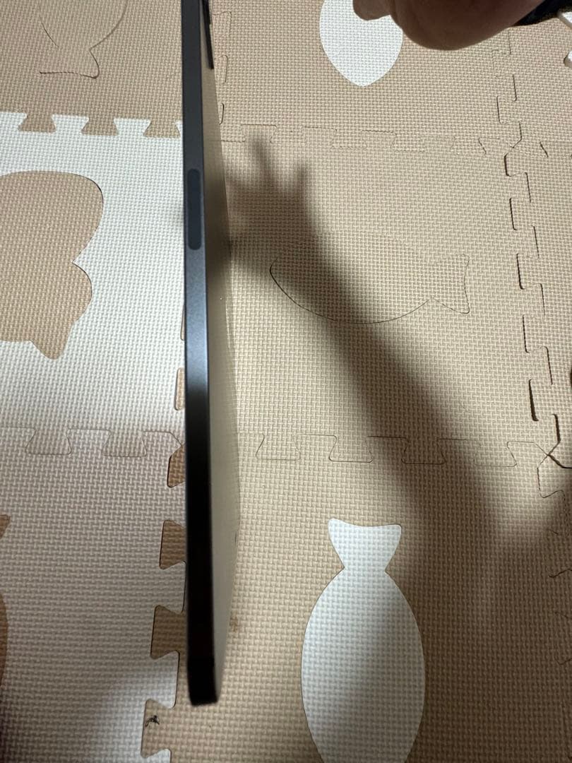 iPad本体 iPad Pro 2 11inch 128gb