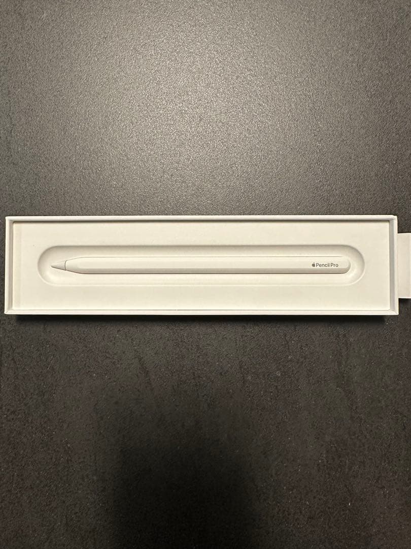 極美品 Apple Pencil Pro アップルペンシルプロ