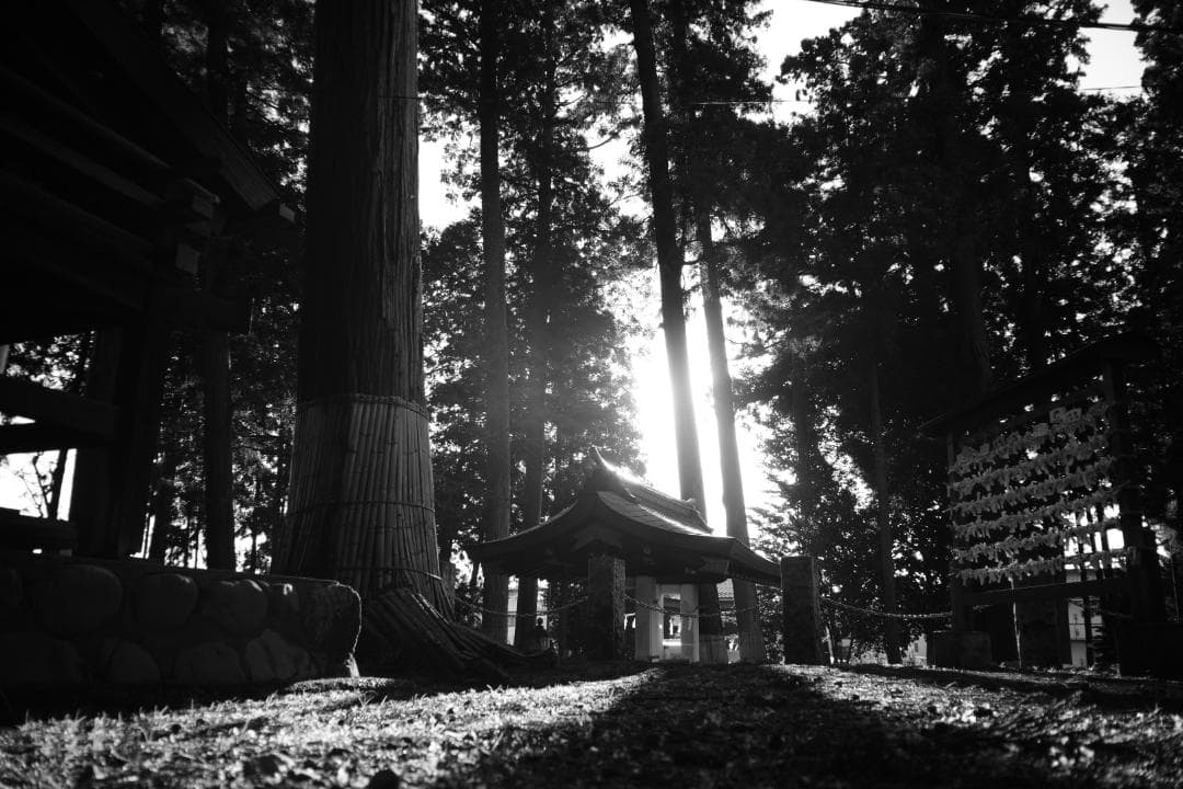 attraction Orion15 28mm f6 L ロシア広角銘玉