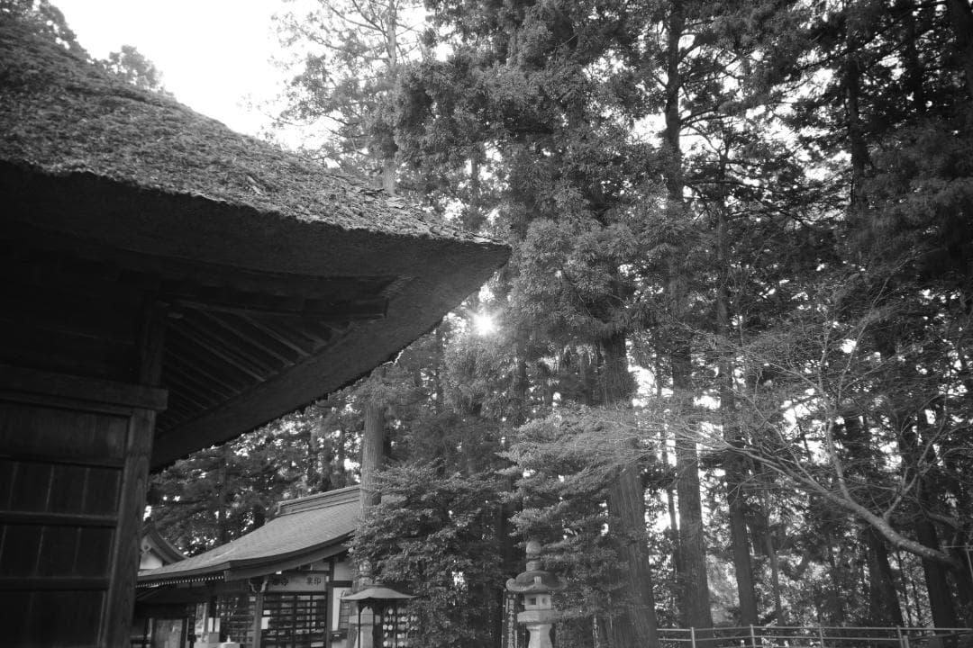 attraction Orion15 28mm f6 L ロシア広角銘玉