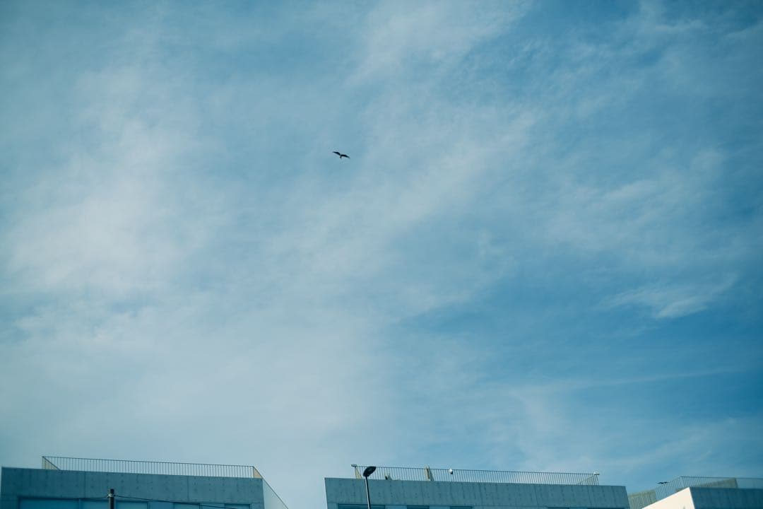 デジタルカメラ Canon EOS 5D & Carl Zeiss Planar 50mm