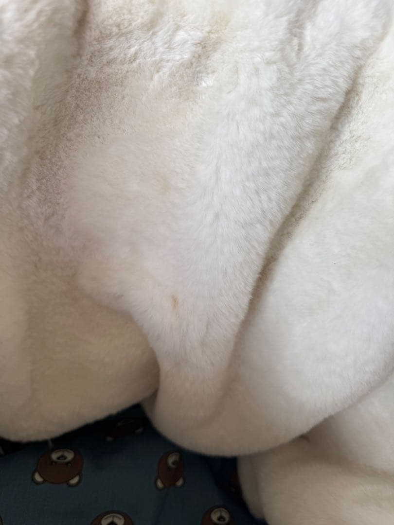 circus circusキャリーバッグ・サークルベッド•アウター•バックセット