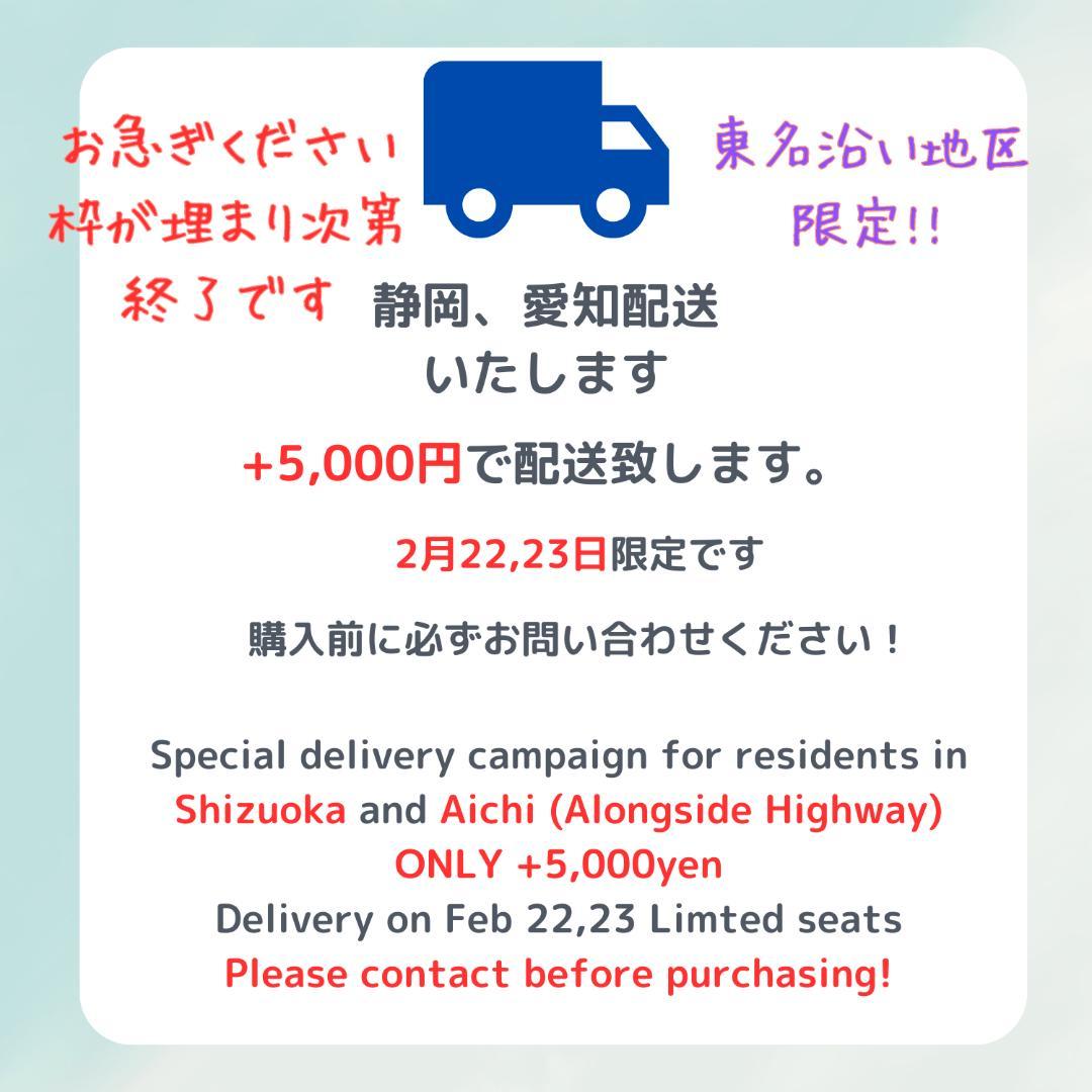 愛知静岡配送可 激レアカラー ビッケ 子供乗せ電動アシスト自転車 H1531