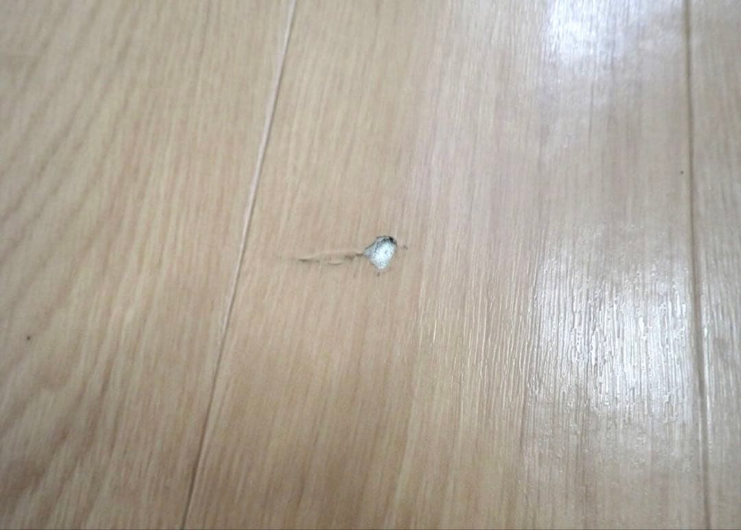 Panasonic ホットカーペット DC-3V4R 1000W