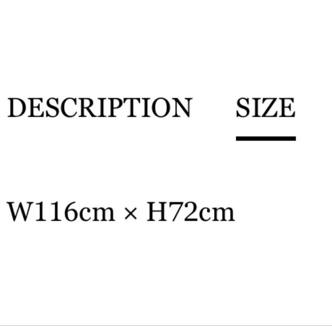 ラグ・カーペット WACKO MARIA TIM LEHI / RUG
