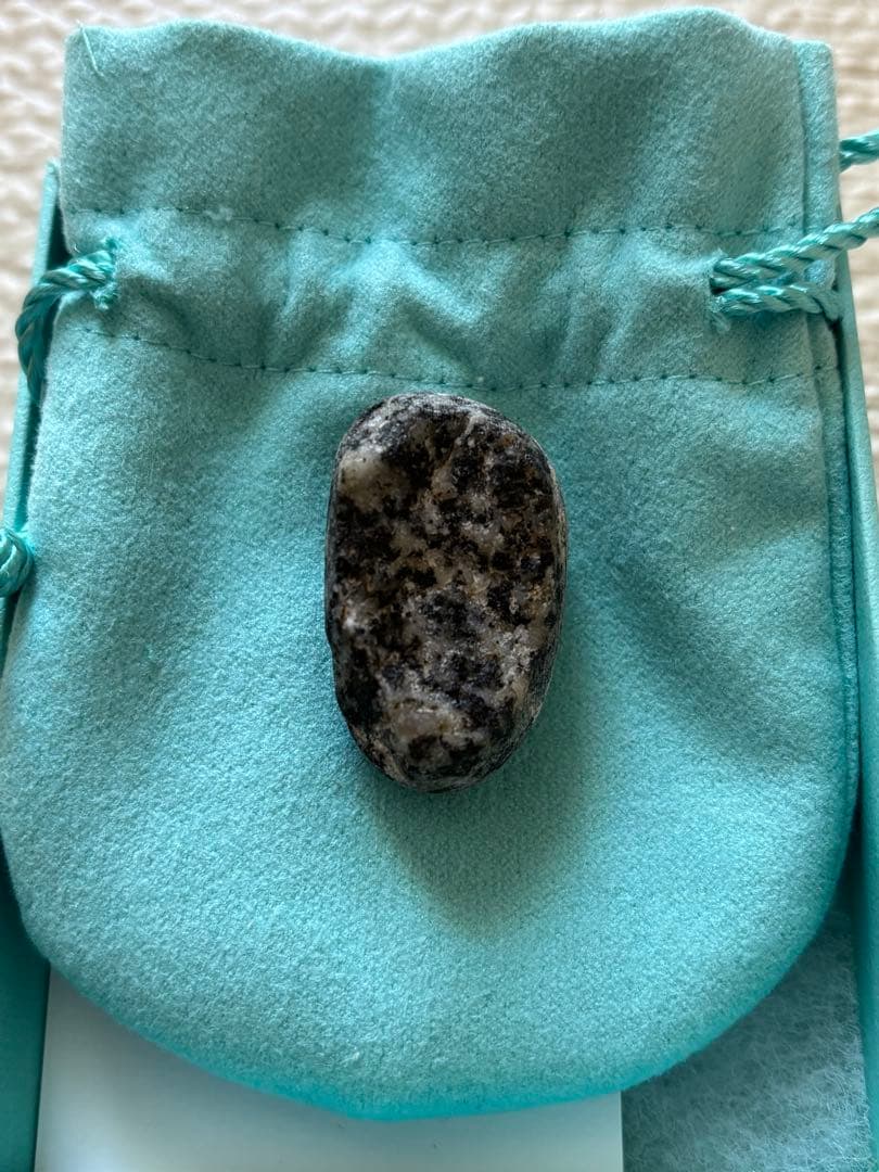 息子が見つけた恐竜の卵化石（花崗岩）