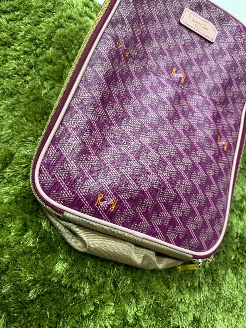 BV レザレクション シューズケース 入れ