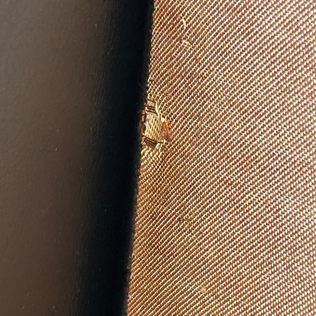 【希少・可変式】♥Knoll（ノル）本革 モジュール　一人掛けソファセット