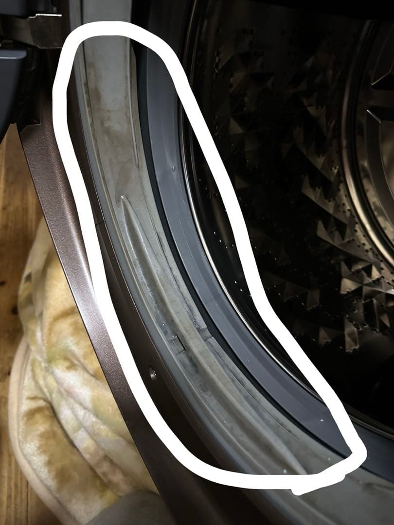 洗濯機 Panasonic NA-VX9900L