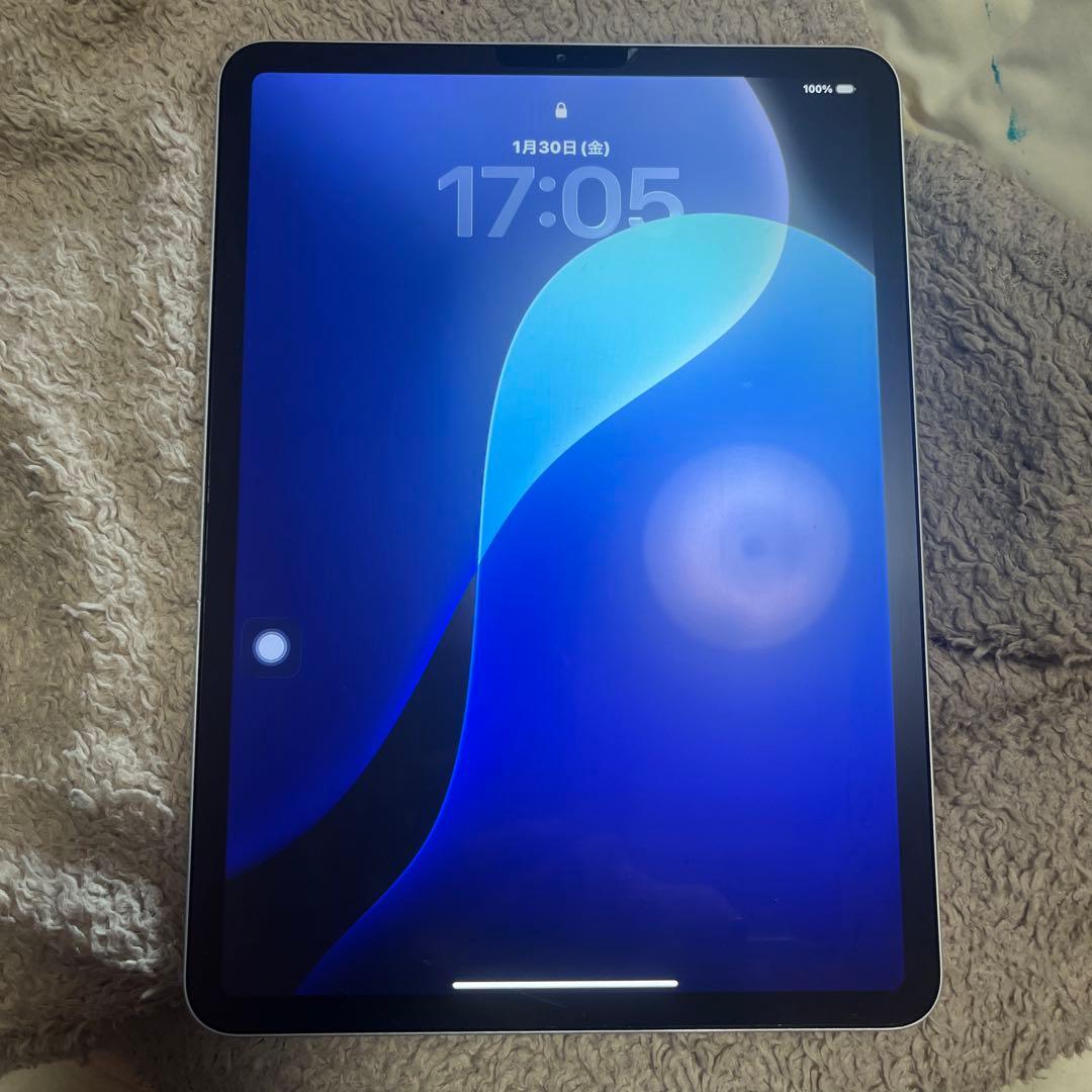 Apple iPad Pro11インチ第一世代シルバー512gb おまけ付き