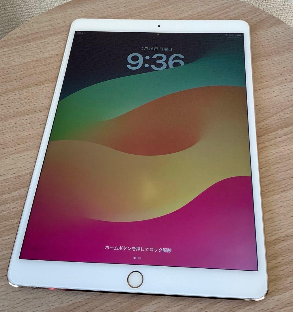 iPad本体 iPad Pro 256GB MPHJ2J/A Wi-Fi+Cellular