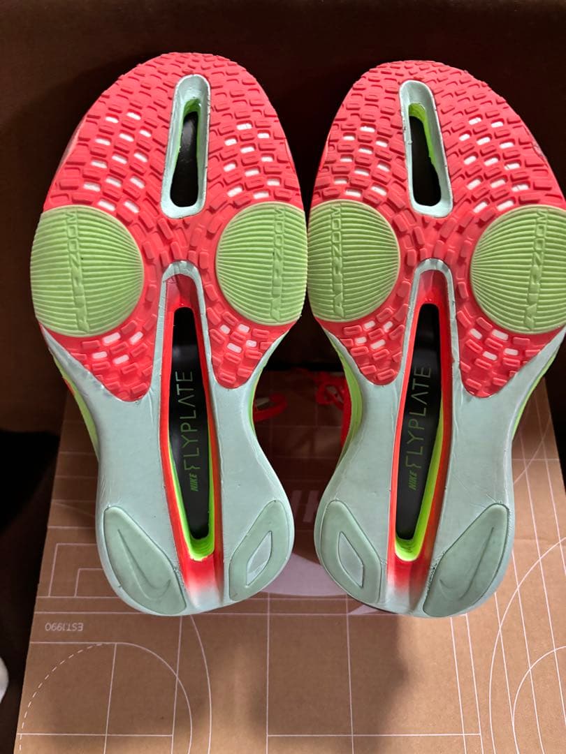 アルファフライ3 特価！