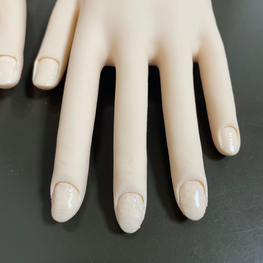 JNEC 検定用 認定モデルハンド 両手 ネイリスト技能検定