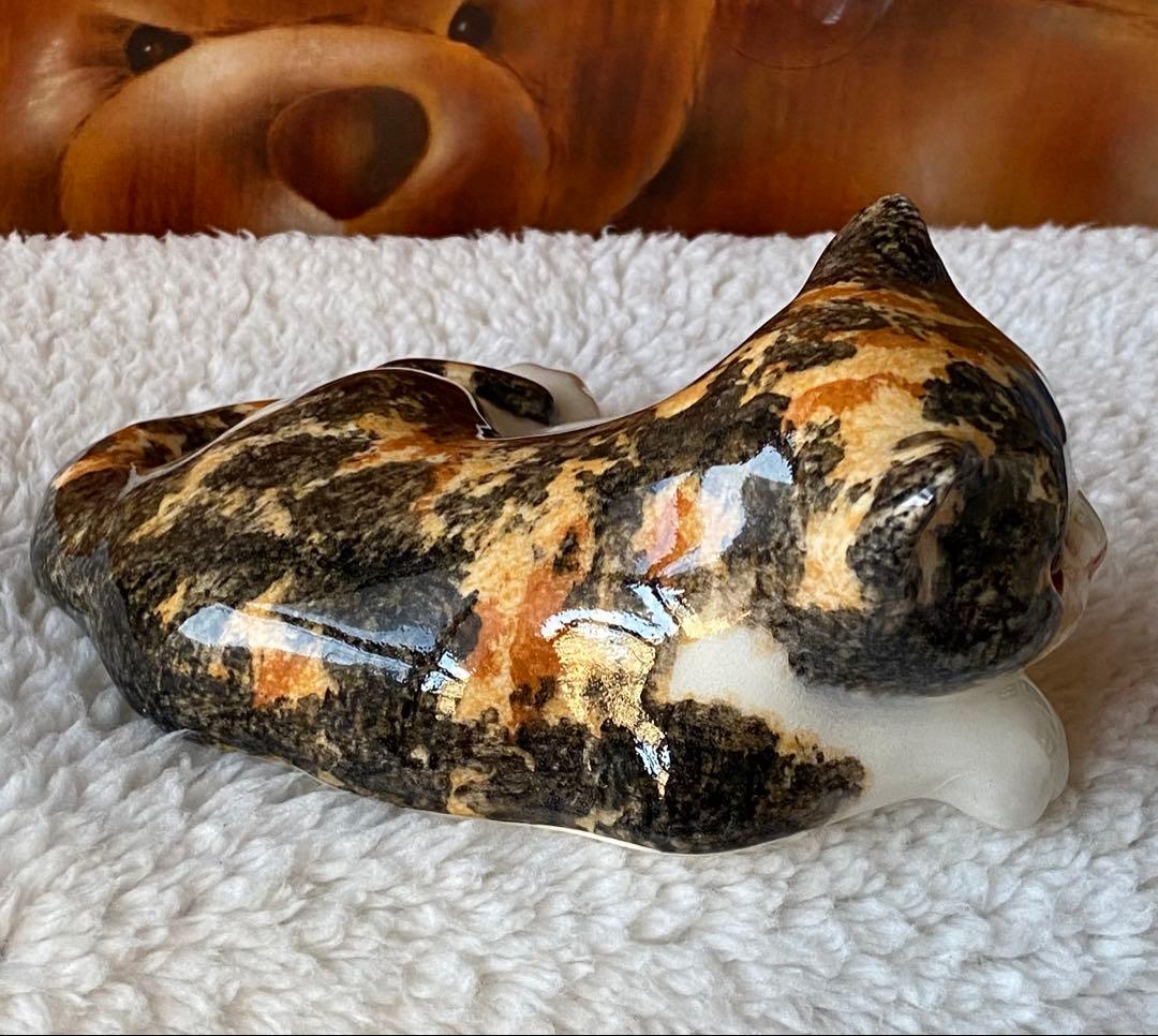 サイズ2　ウィンスタンレイキャット　ケンジントンキャット　三毛猫仔猫