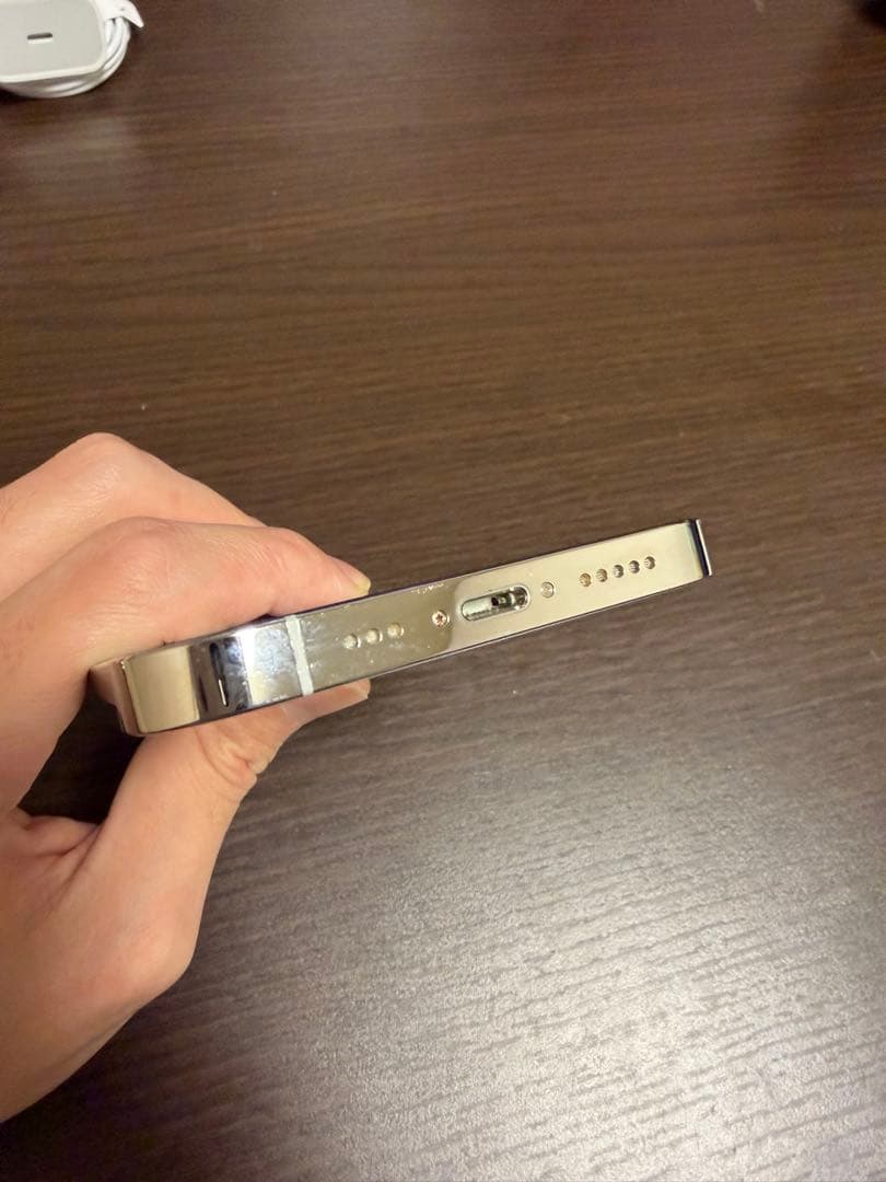 iPhone 13 Pro 256GB シルバー