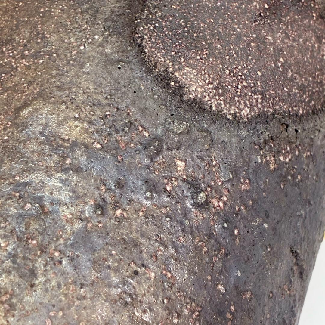 ■丹花義晴 作 水指 蓋にタヌキ 備前焼と信楽焼の融合 焼き締め自然豊かな風合い