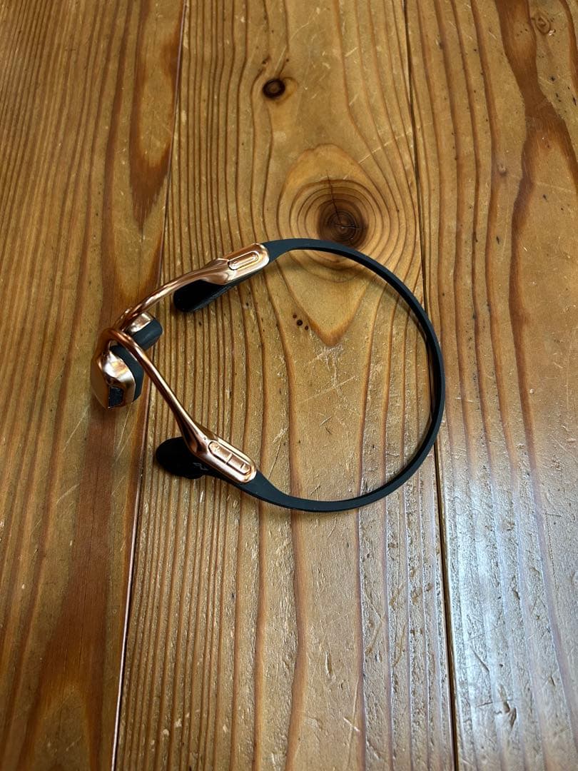 AVIOT WB-E1M 骨伝導 ヘッドセット ブルブームマイク同梱