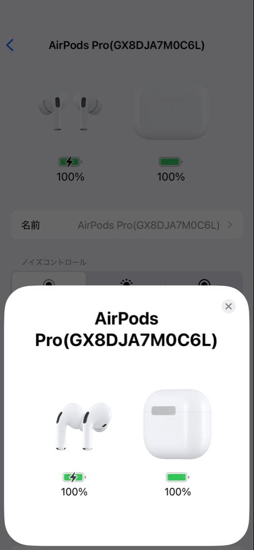 Apple正規品 AirPods Pro A2190 MagSafe対応