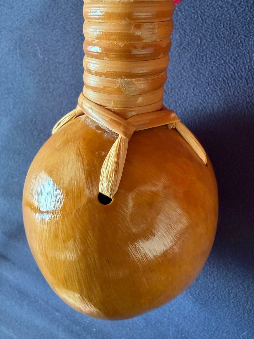 ウリウリ　楽器　フラダンス　一体型