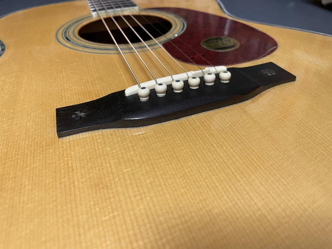 ギター Aria Dreadnoght AF-60