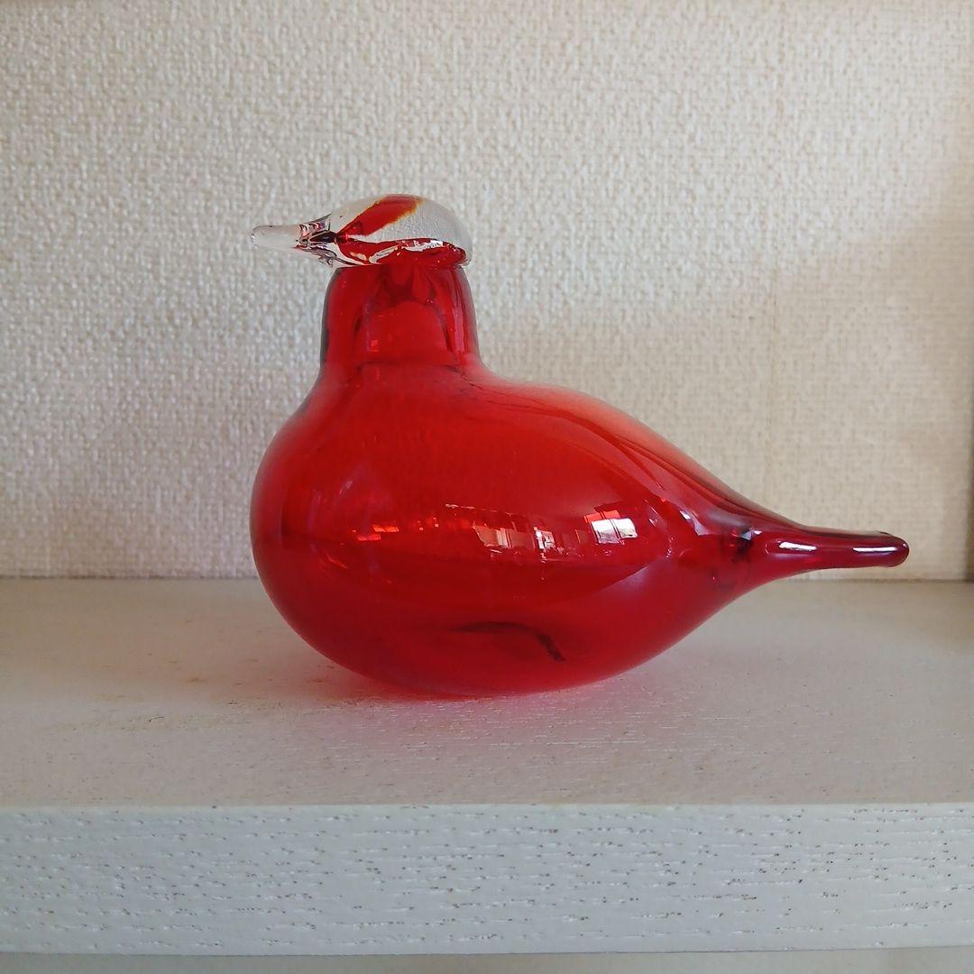 　リトルターン　レッド