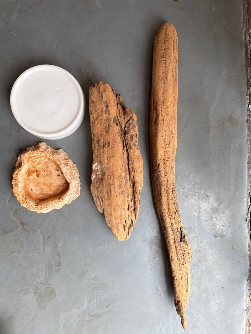 送料込み　コトブキ工芸　爬虫類　両生類飼育セット一式