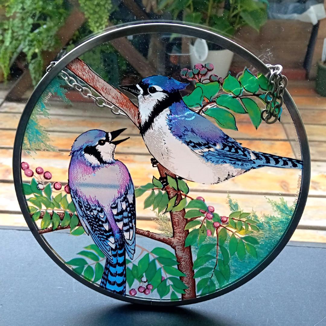 トロント・ステンドグラス Blue Jay ブルージェイ アオカケス