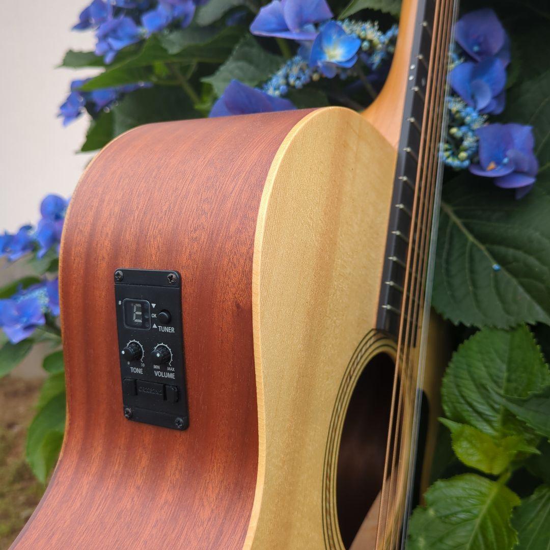 Taylor Academy 12e エレアコ中古