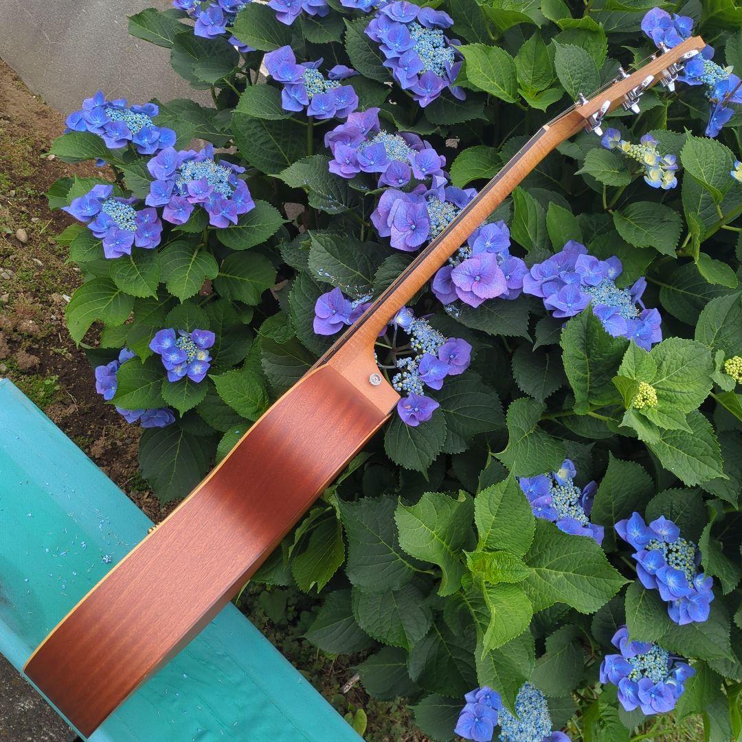 Taylor Academy 12e エレアコ中古