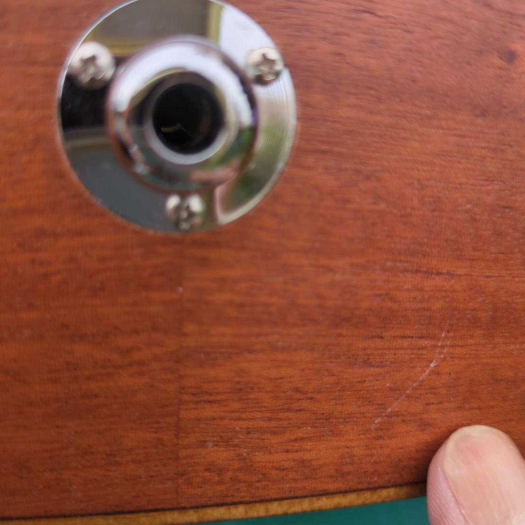 Taylor Academy 12e エレアコ中古