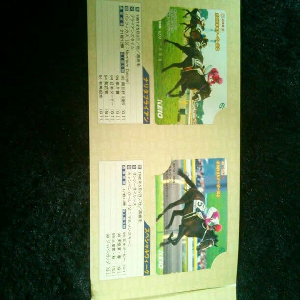 激レア【競馬】第70回ダービー記念　パスネット