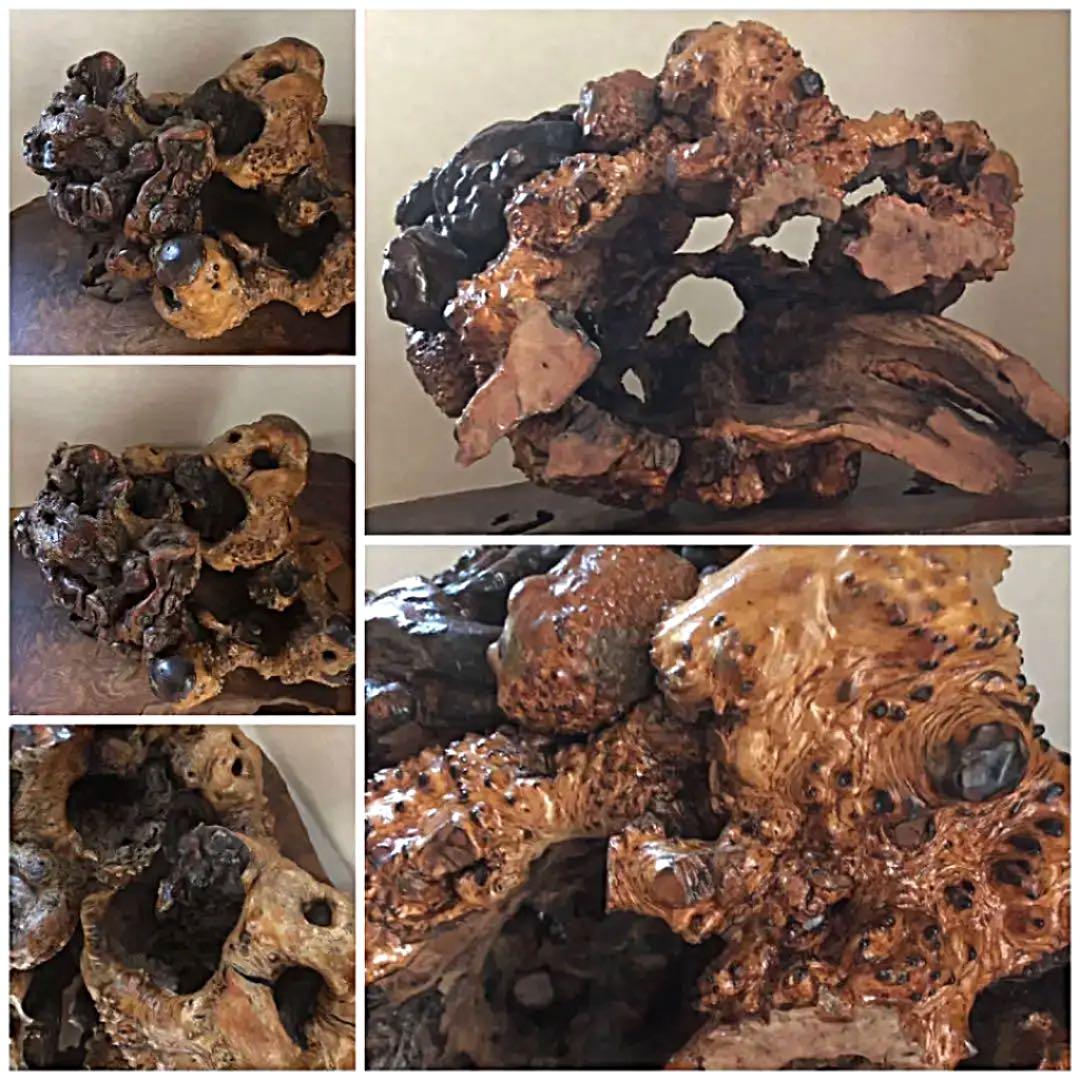 飾り 瘤古木 盆栽 3511㌘ 処分価格