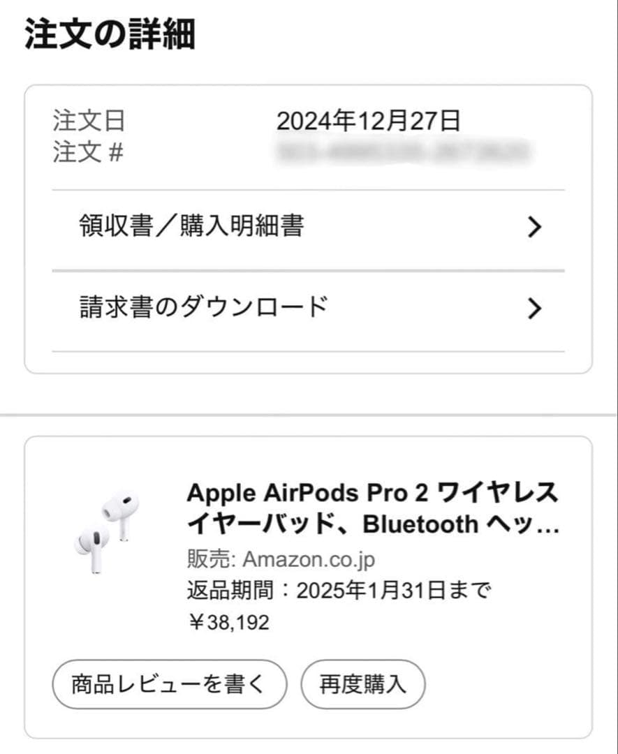Apple AirPods Pro 2（USB-C）