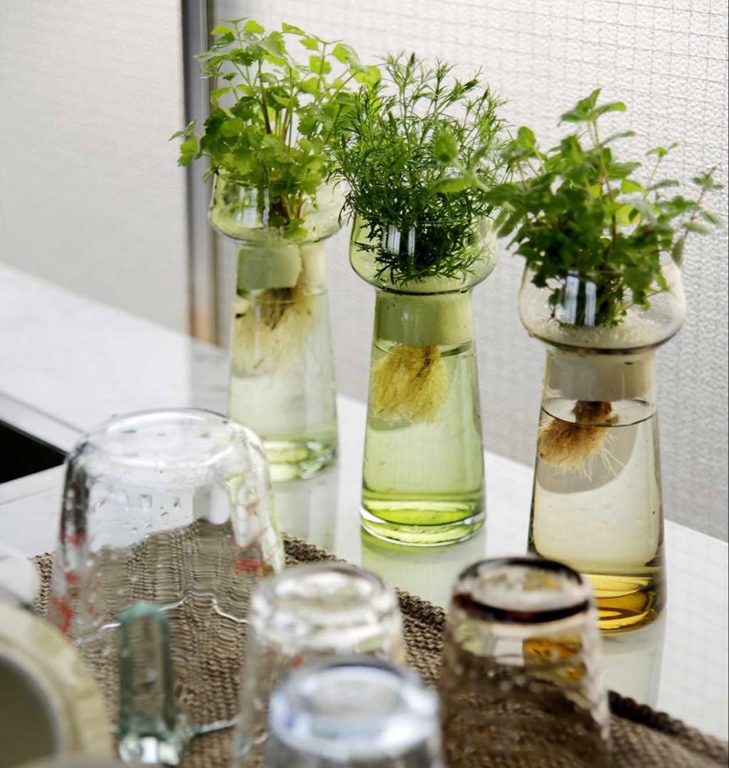 ホルムガード セレブレイト オリーブ scope ヒヤシンス用花瓶 2個セット