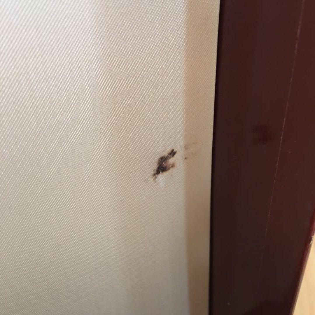 ヘネシー パラディ エクストラHennesy Paradis Extra