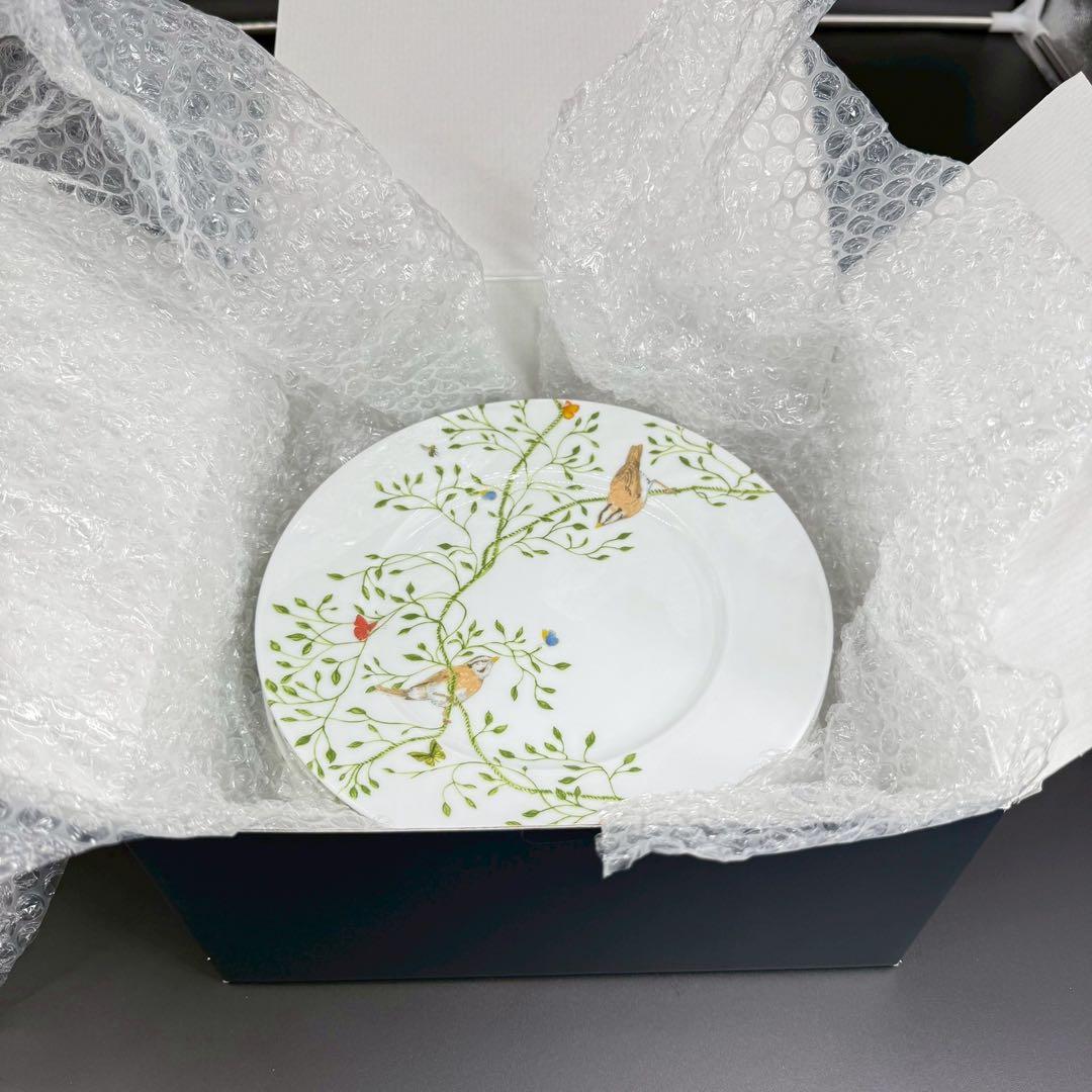 RAYNAUD ヒストリーナチュール　ブラウンバード22cm 6枚セット　箱付