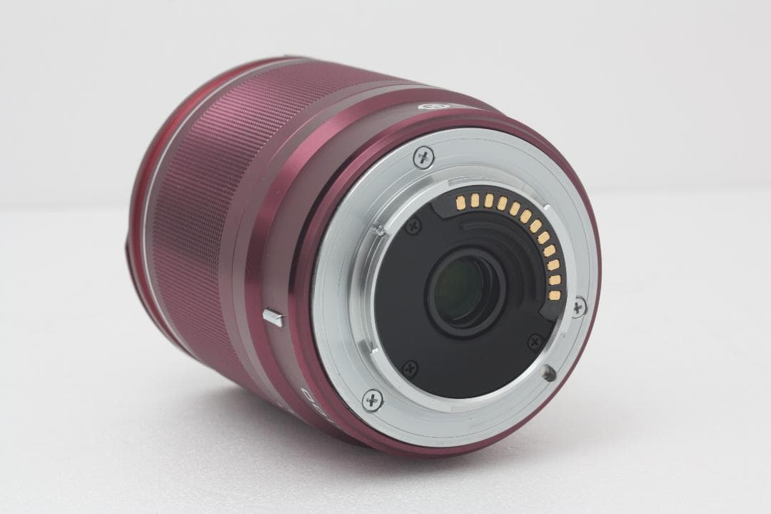 1 NIKKOR 10-100mm F4-5.6 VR 完動品 #282b