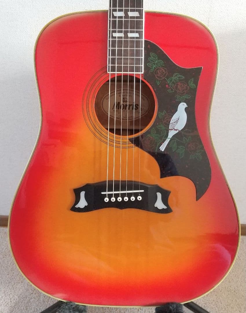 アコースティックギター Morris  WD-30