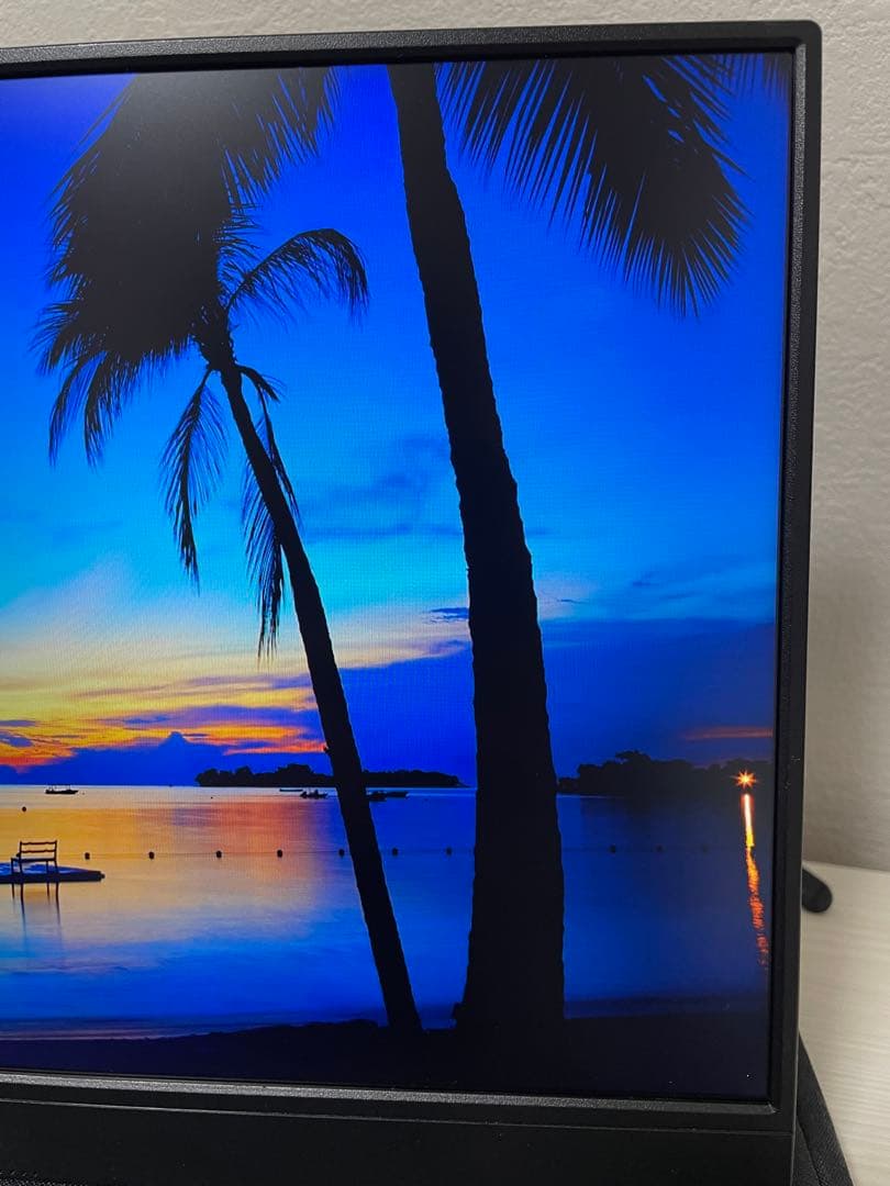 I・Oデータ　15.6型モバイルディスプレイ EX-LDC161DBM