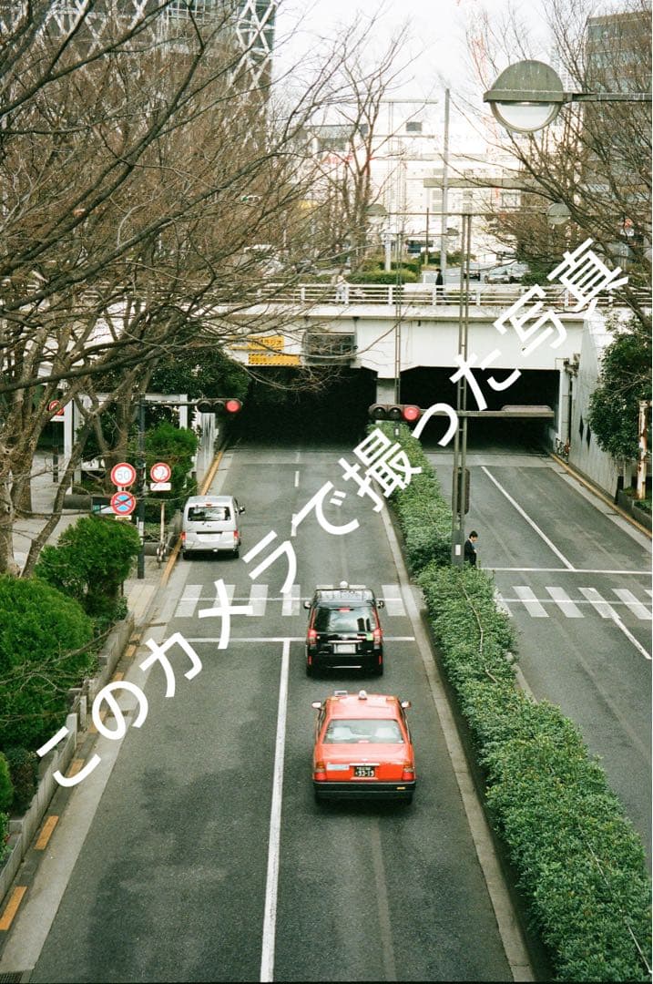 【動作確認済・美品】Canon Autoboy Panorama SXL