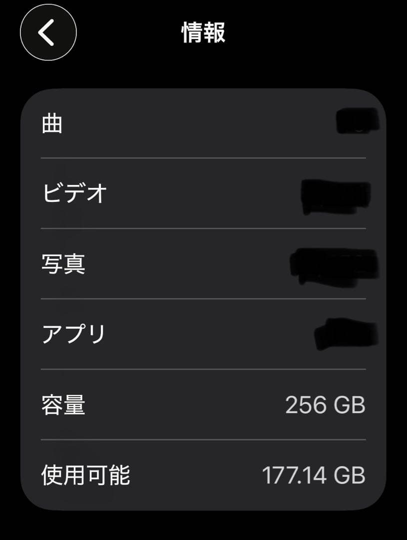 Apple iPhone 17 ブラック ケース付き