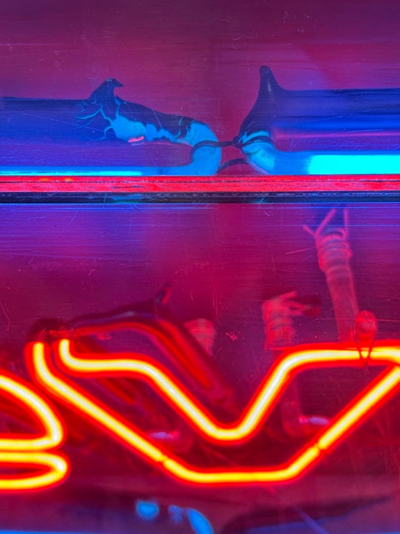 Levi’s リーバイス　ネオンサイン　ストアディスプレイ　ビンテージ