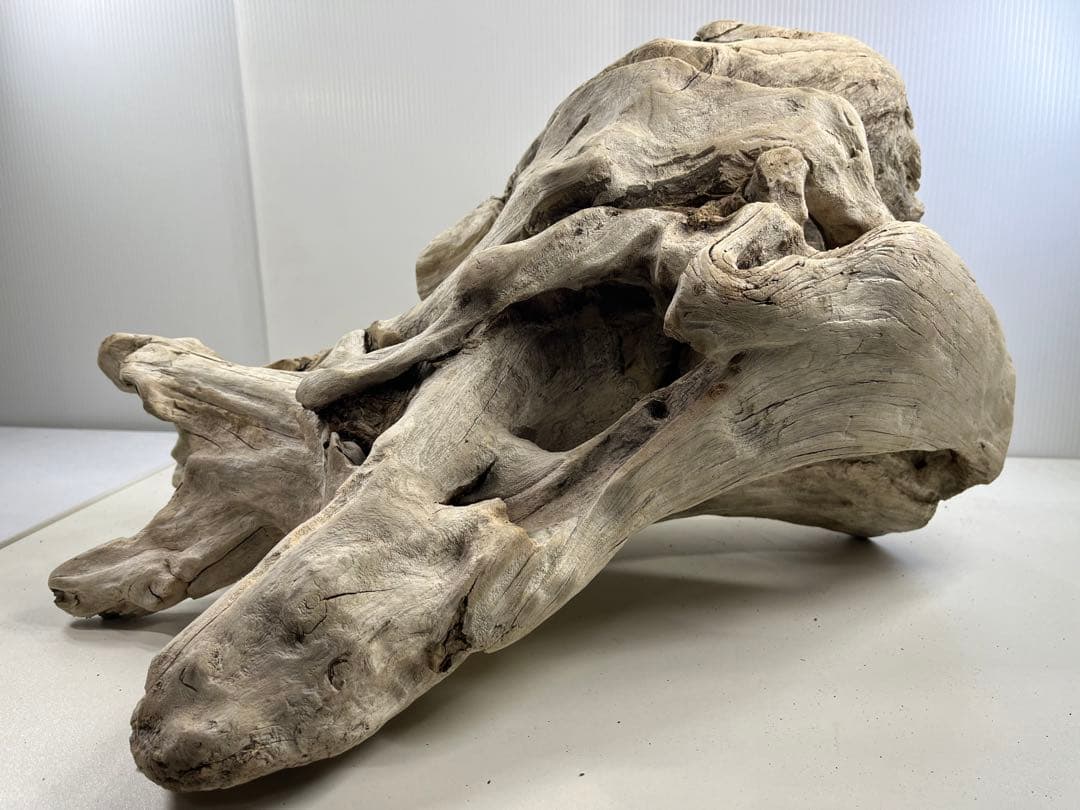 T90特大流木 大型流木 アク抜き済み 漂白処理 爬虫類シェルター インテリア