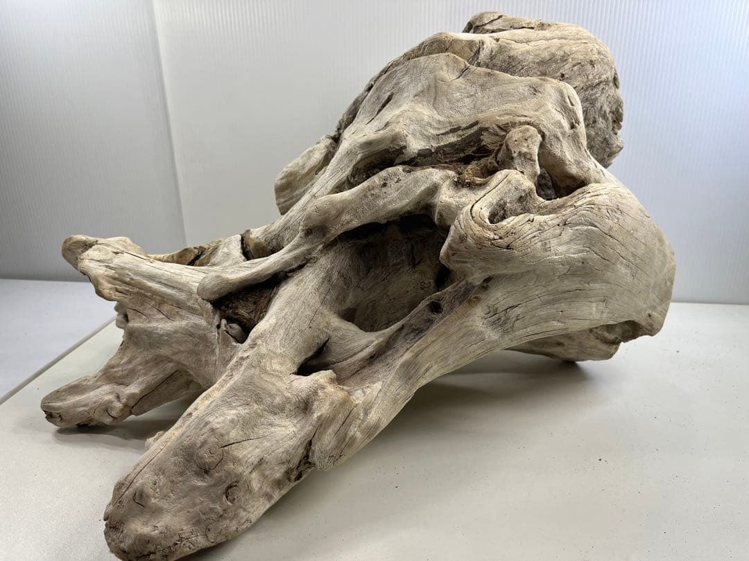 T90特大流木 大型流木 アク抜き済み 漂白処理 爬虫類シェルター インテリア