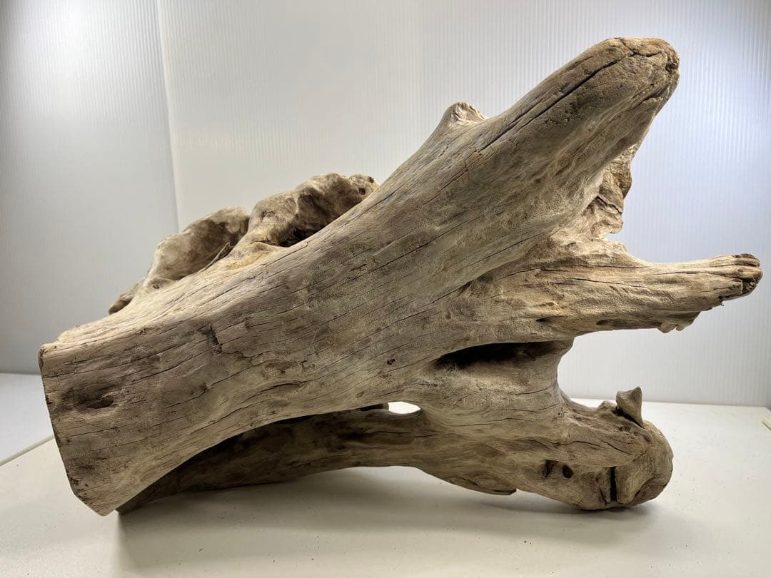 T90特大流木 大型流木 アク抜き済み 漂白処理 爬虫類シェルター インテリア