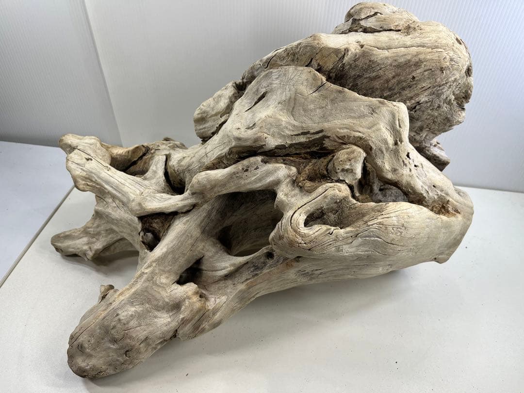 T90特大流木 大型流木 アク抜き済み 漂白処理 爬虫類シェルター インテリア