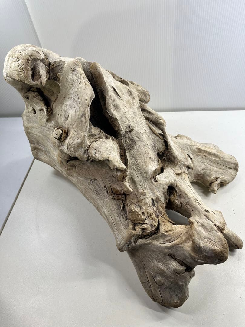 T90特大流木 大型流木 アク抜き済み 漂白処理 爬虫類シェルター インテリア