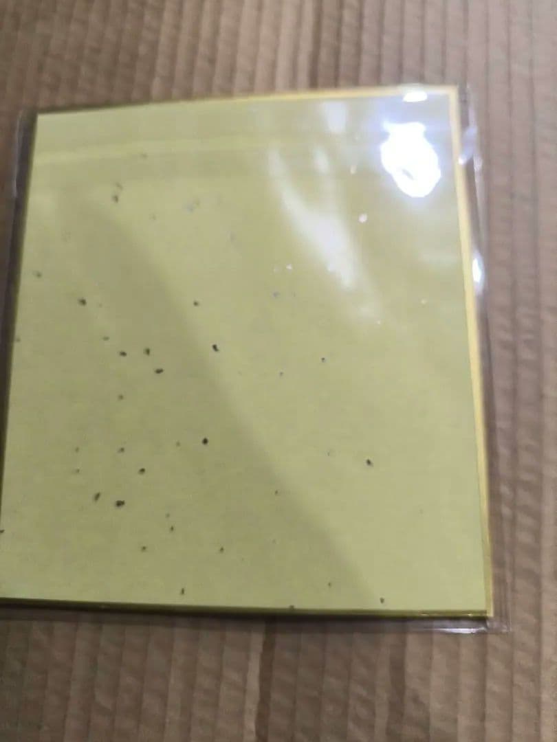 J-Store かぼちゃワイン エル 三浦みつる 直筆カラーイラスト