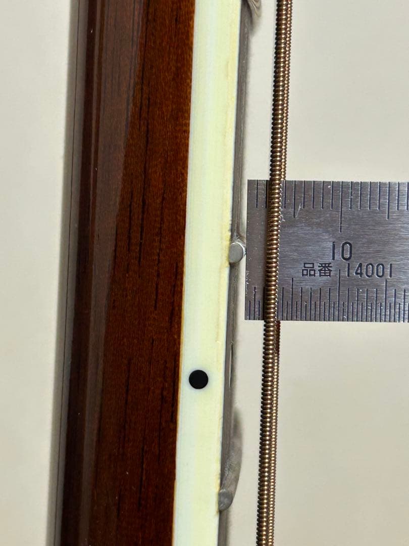 James JF350NA トップ単板 アコースティックギター